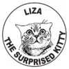 Cat Face Stamp